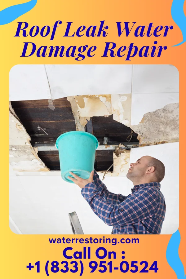 Roof Leak Water Damage Repair in Esbon, KS